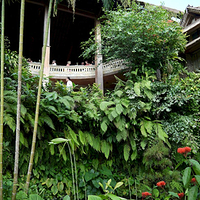 Photo de Bali - Balade, Garuda et spectacle